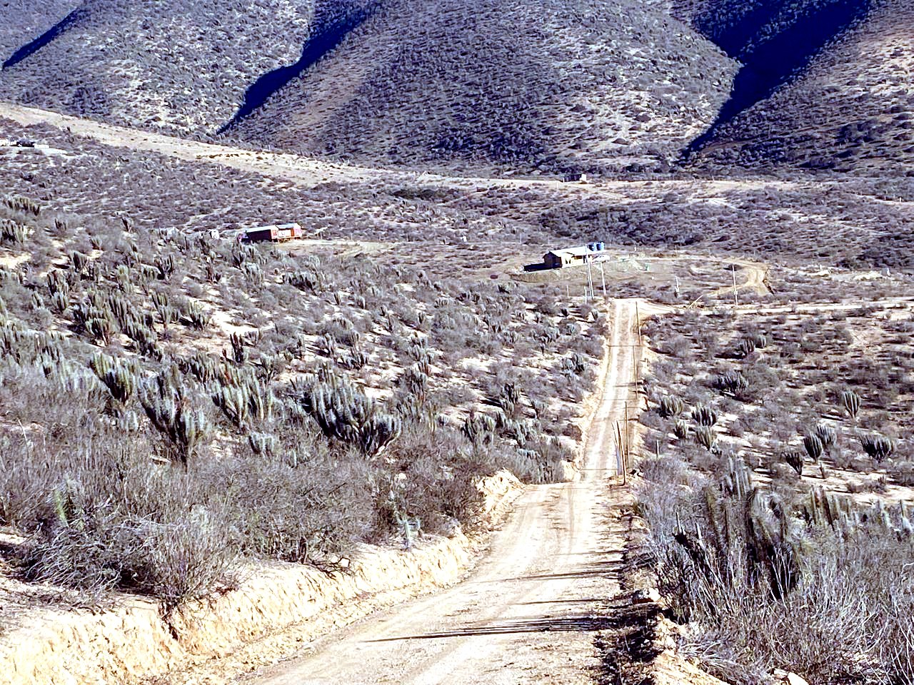 Camino de acceso a las parcelas